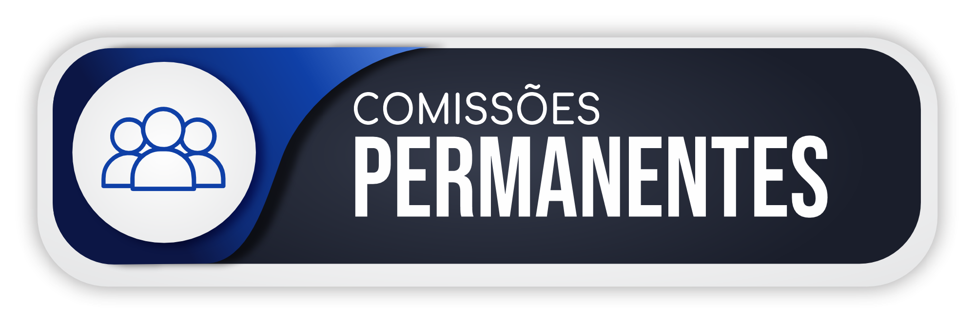 Comissões Permanentes